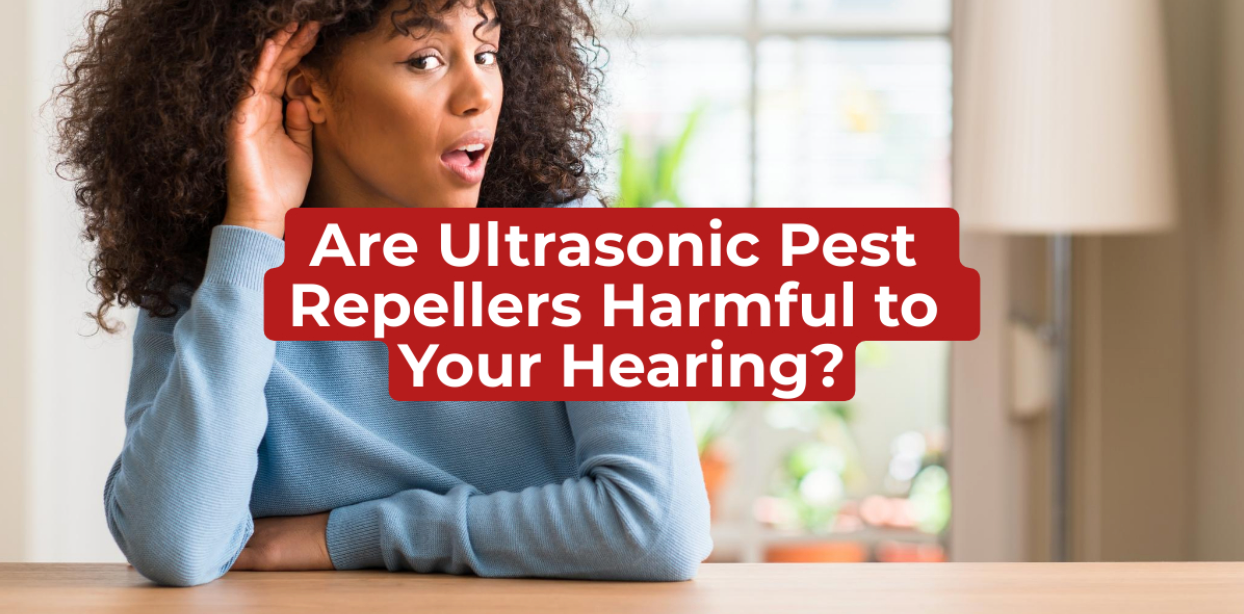 Are Ultrasonic Pest Repellers Harmful to Human Hearing?